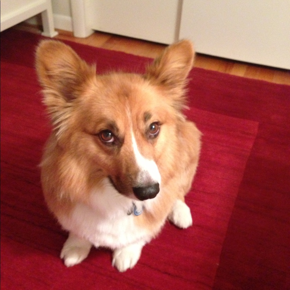 Meet your Posher, Martha